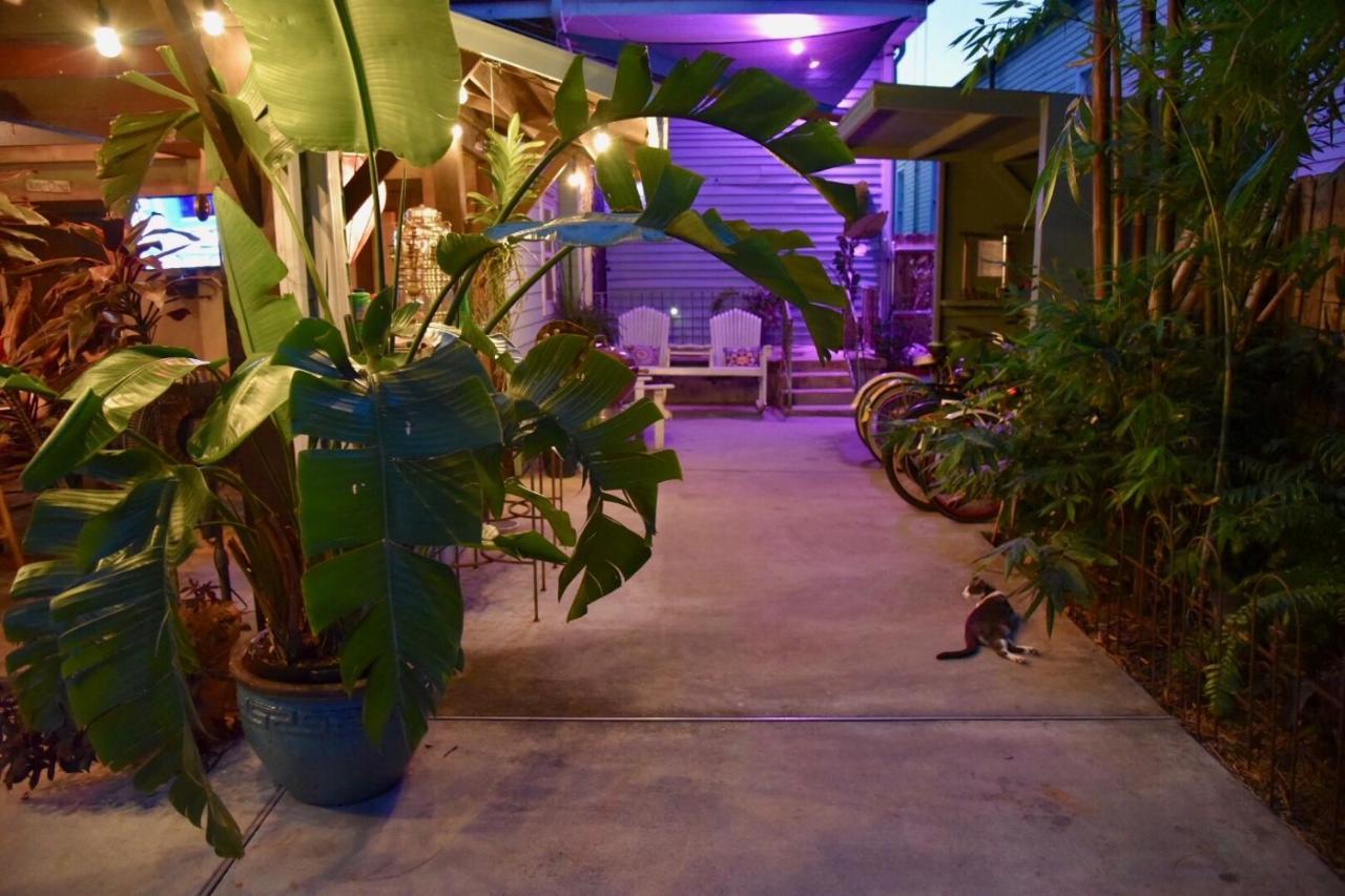 The Dragonfly Treme Guest House New Orleans Eksteriør bilde