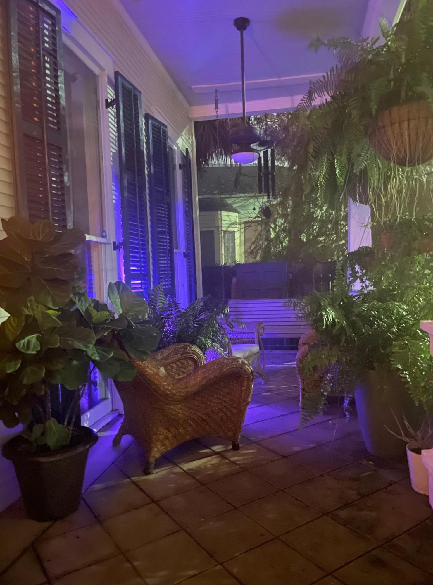 The Dragonfly Treme Guest House New Orleans Eksteriør bilde