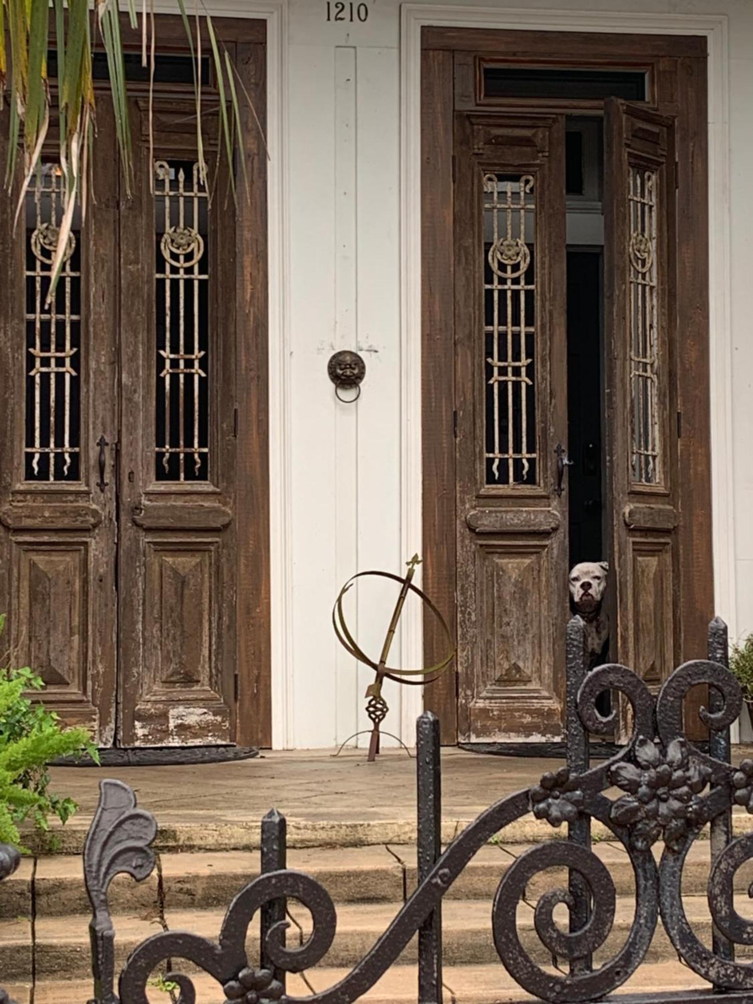 The Dragonfly Treme Guest House New Orleans Eksteriør bilde