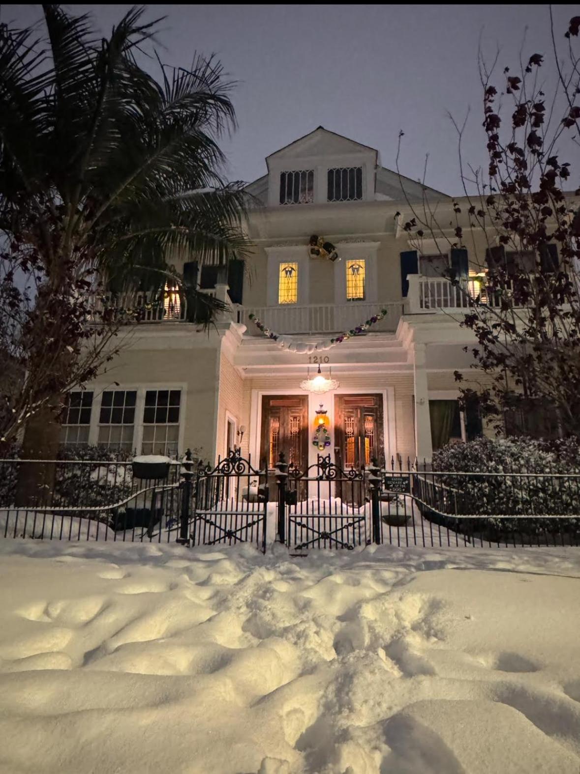 The Dragonfly Treme Guest House New Orleans Eksteriør bilde